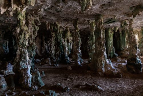 Cae Tours Bonaire