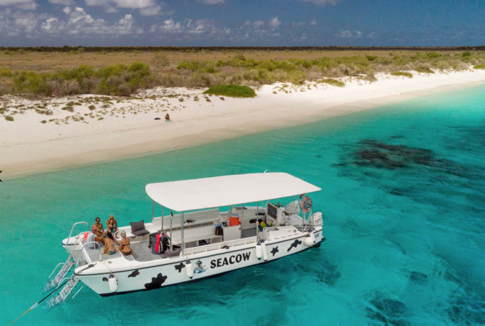 Snorkel Tours With The Sea Cow Sunwise Bonaire