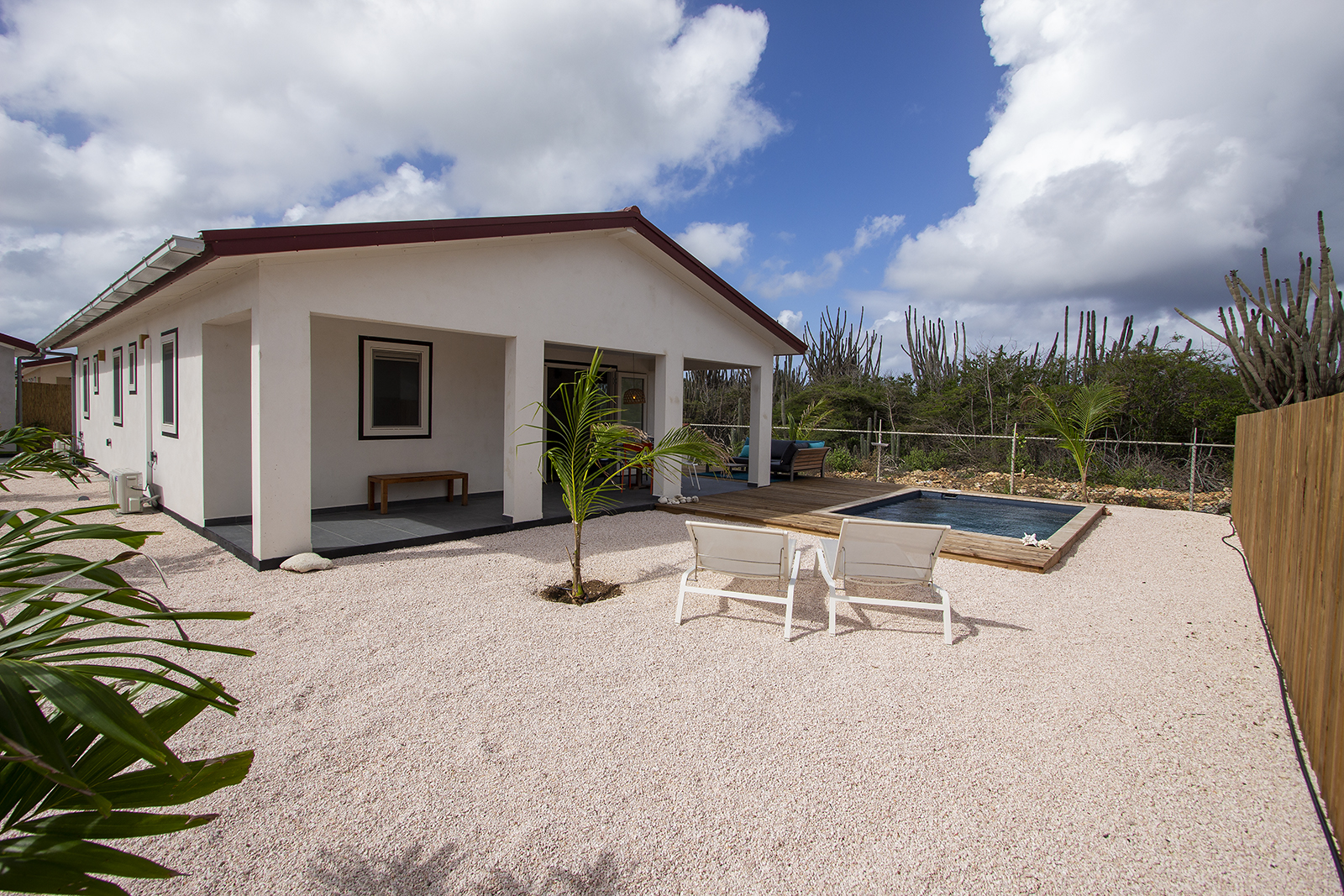 Bonaire Long Term Rentals Huisdieren Vogels