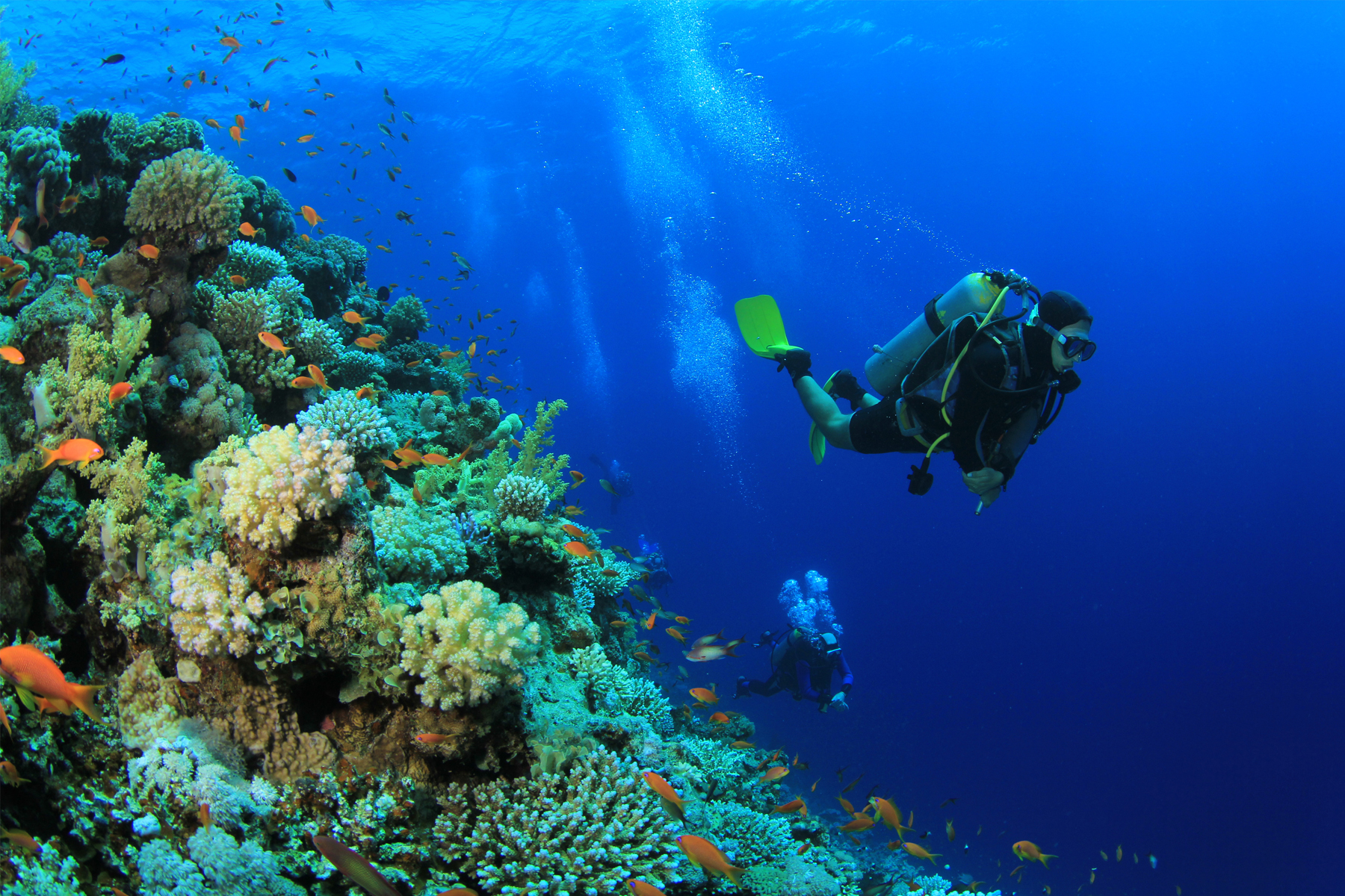 Best Diving Locations Bonaire At Rose Briggs Blog