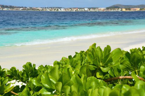 Nature on Bonaire, Klein Bonaire