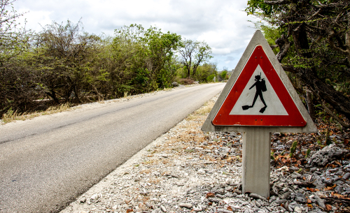 Traffic rules on Bonaire don't mention crossing scuba divers