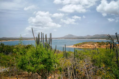 Bonaire in Caribisch Nederland: Washington Slagbaai