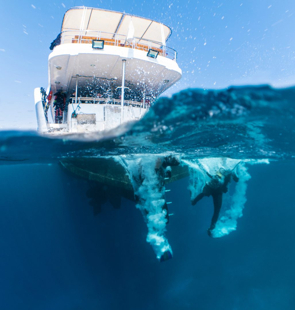 Caribbean gem of diving Bonaire
