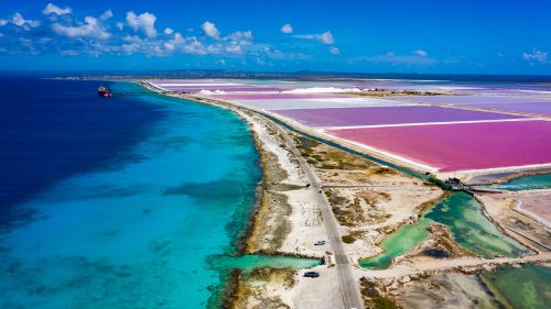 Bonaire Salt Pans