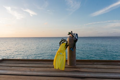 Private dive guide from your private jetty