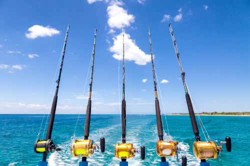 Deep Sea Fishing Charters on Bonaire