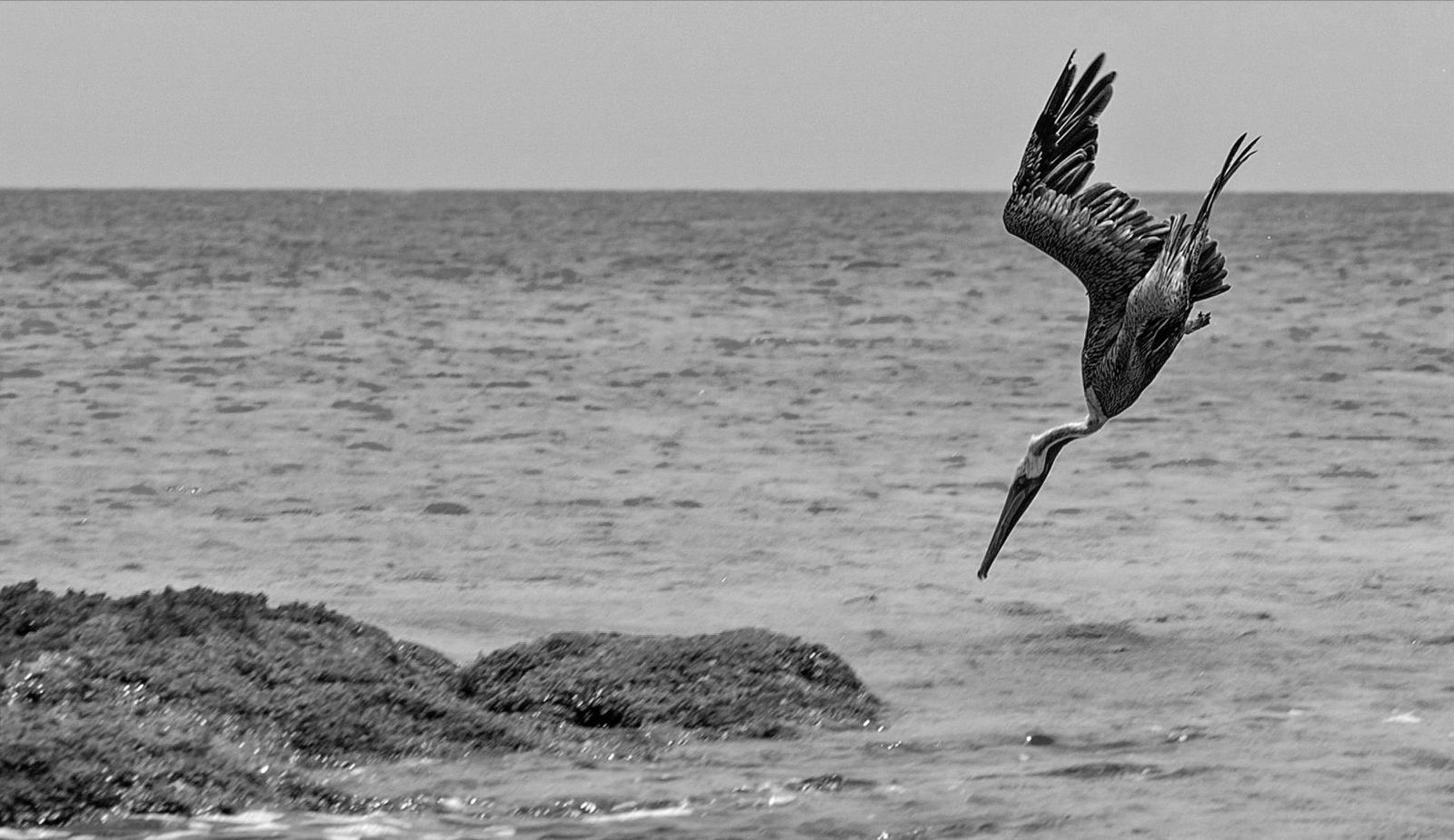 Bonaire in 100 foto's Aanval Sunwise Bonaire