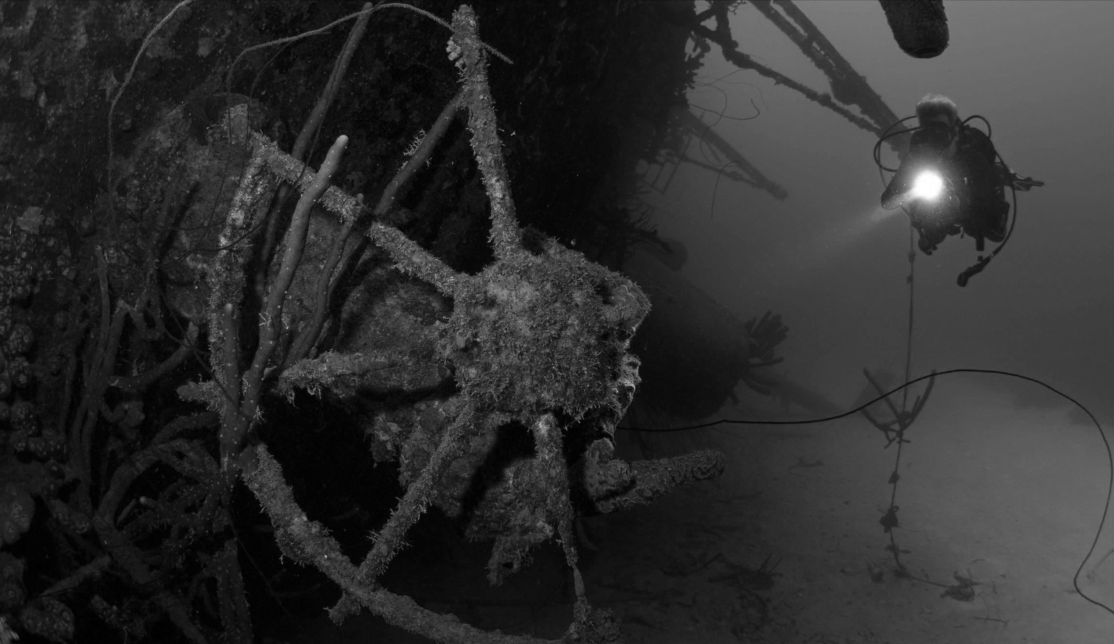 Bonaire in 100 photos - Wreck diving - Sunwise Bonaire