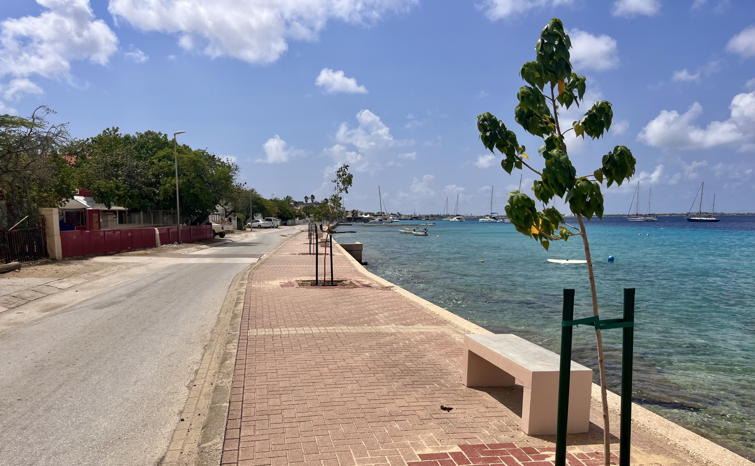 Bonaire's boulevard