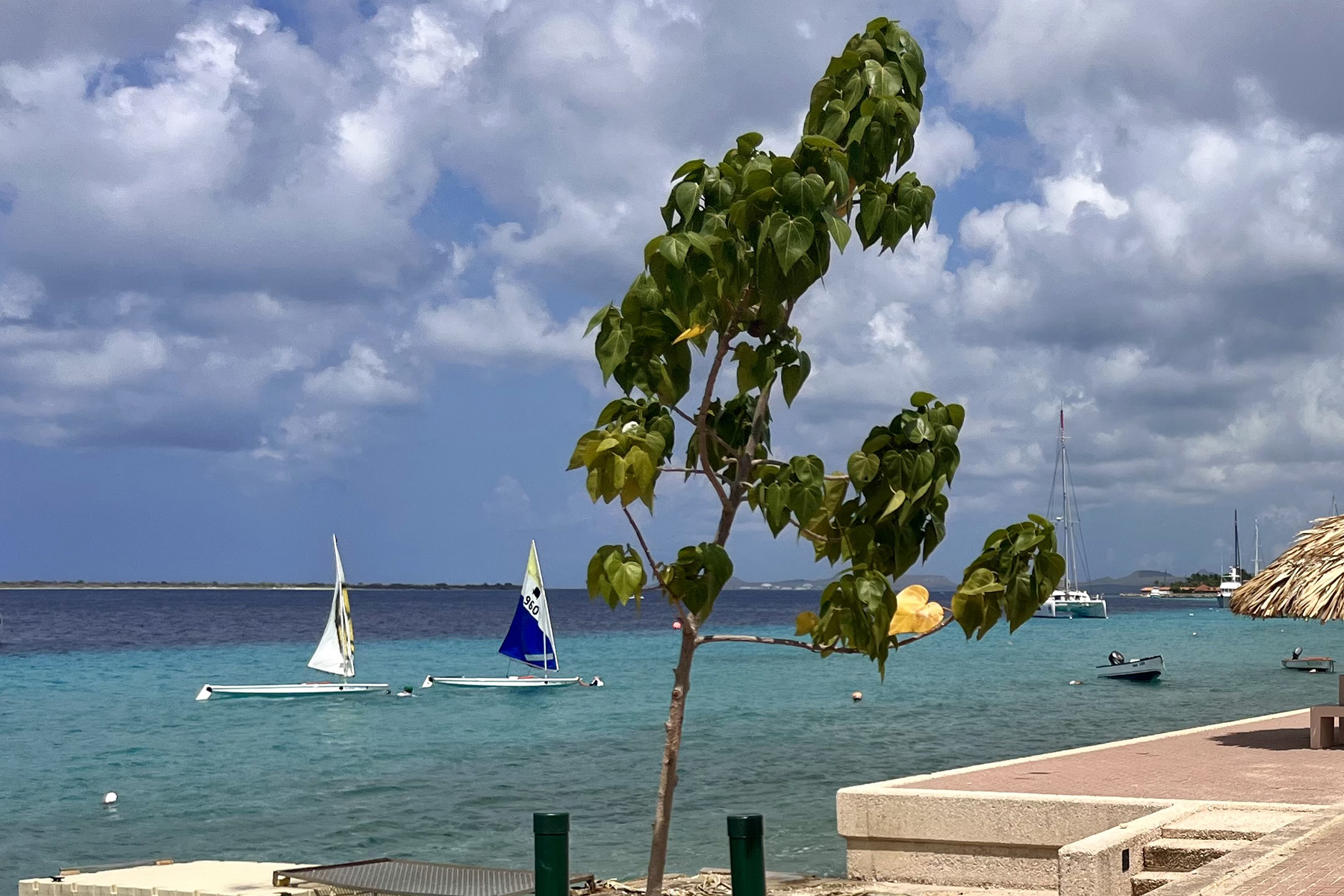 Zeilen op Bonaire Boulevard