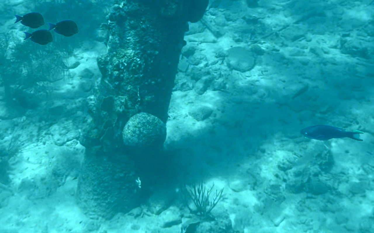 underwater at Salt Pier