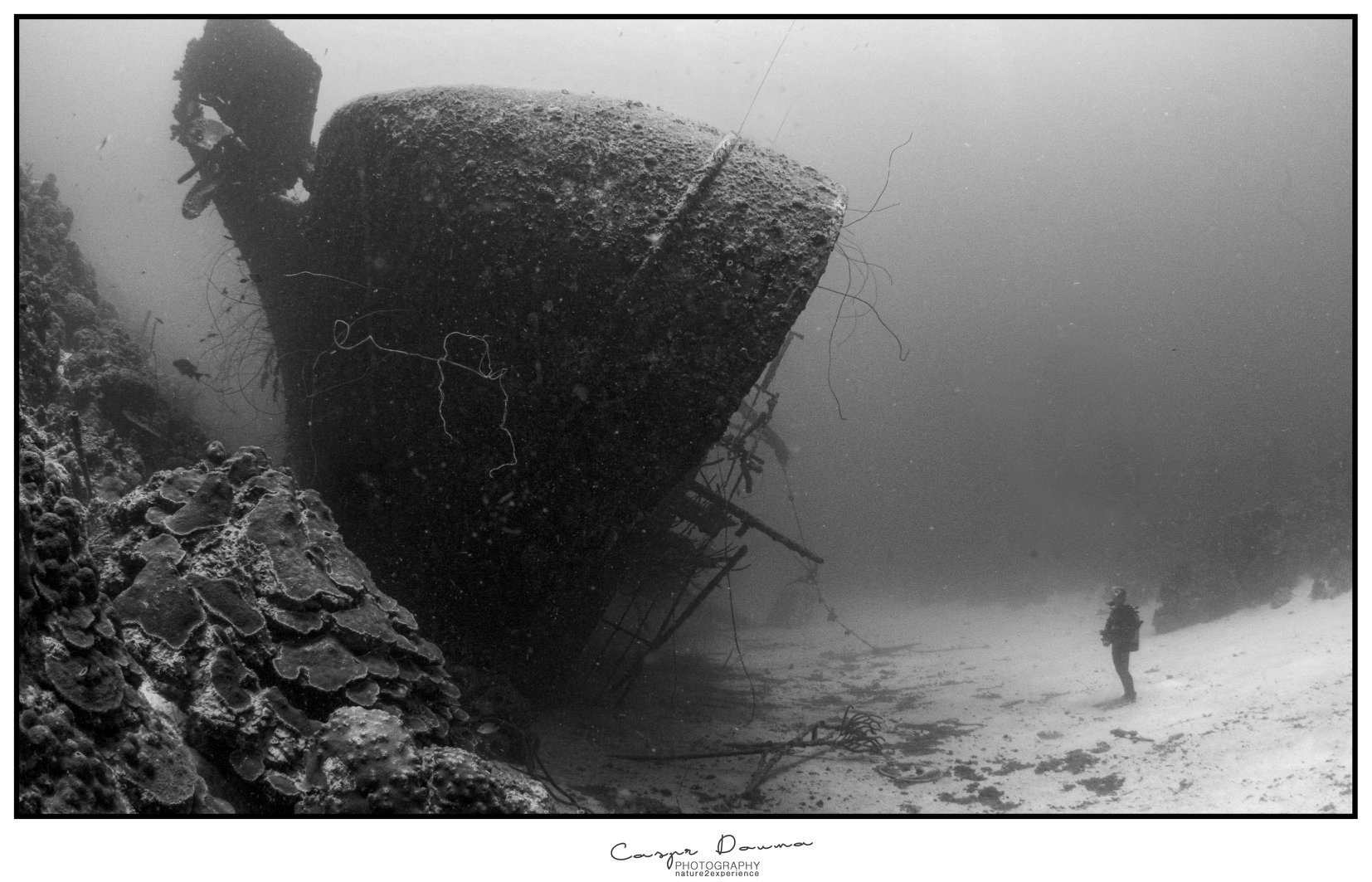 Bonaire dive site: Hilma Hooker by Casper Douma