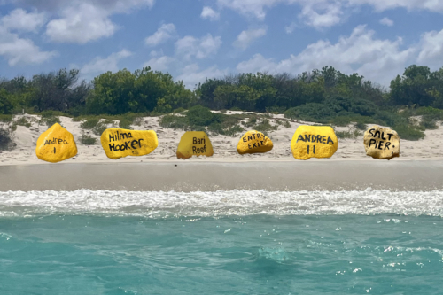 Yellow Stones on Bonaire