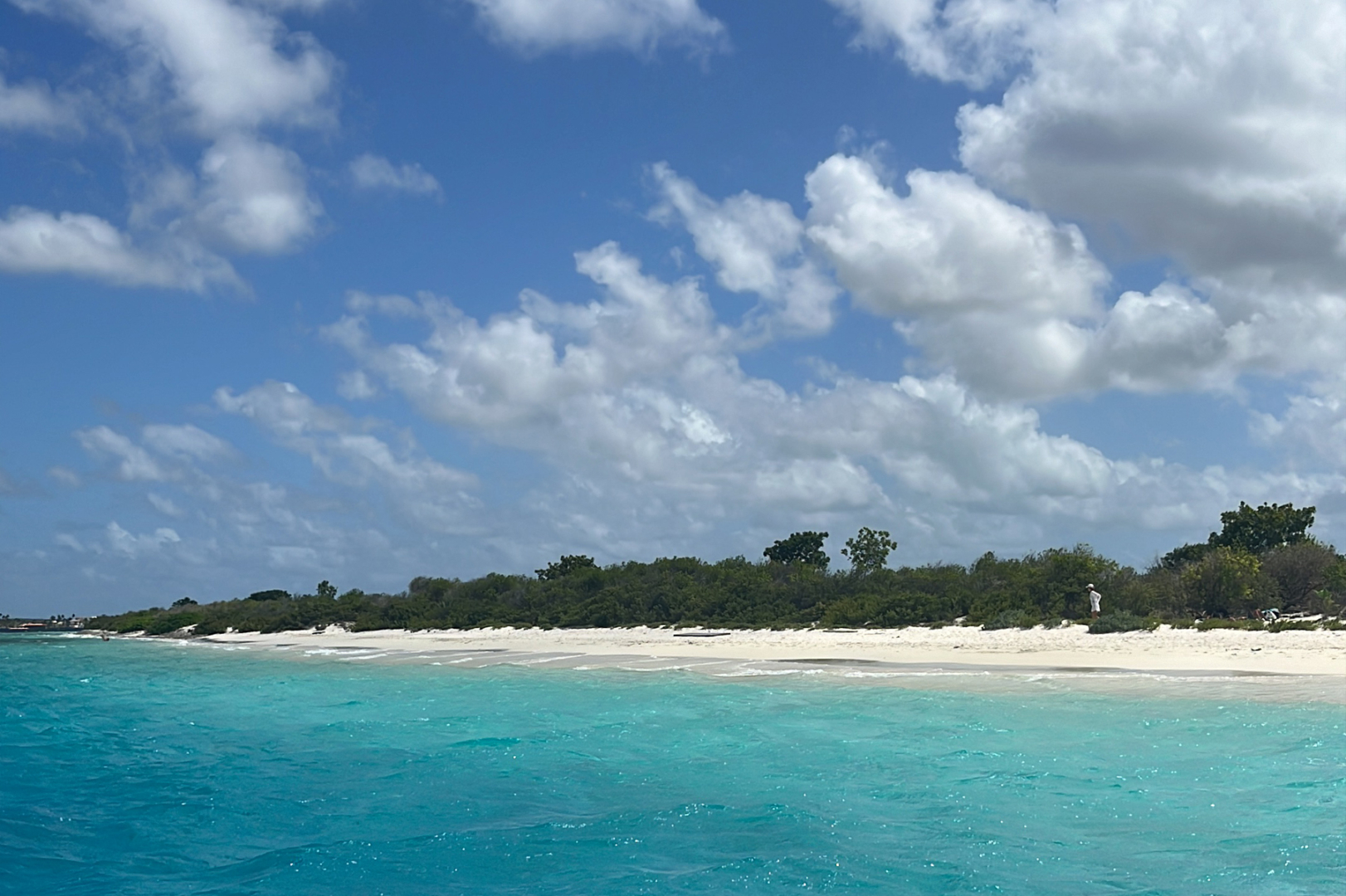 Het groen van Klein Bonaire