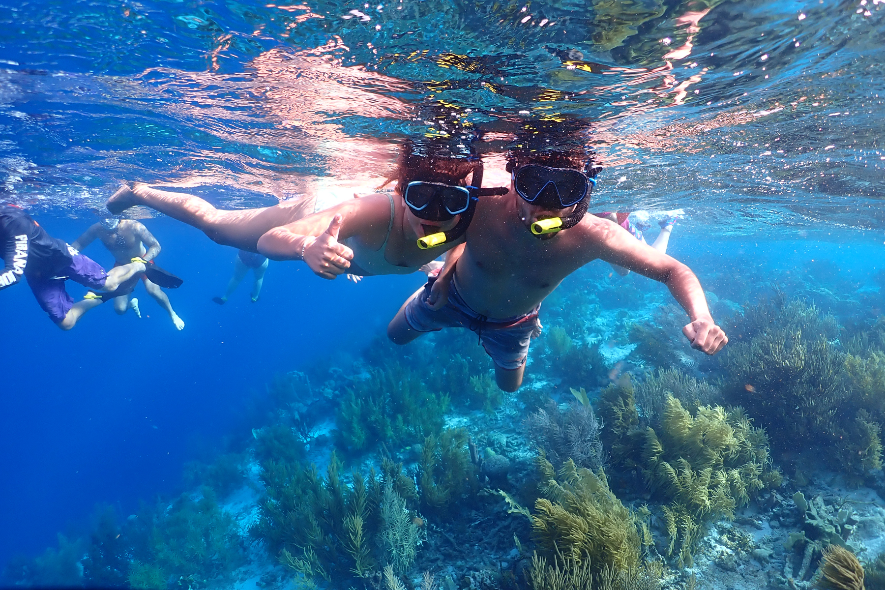 Snorkeling on Bonaire