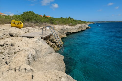 Bonaire Dive