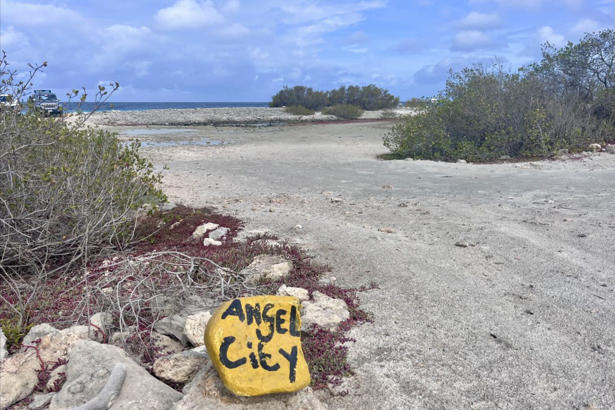 Angel City yellow stone