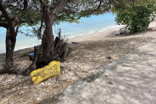 Bonaire dive site Something Special