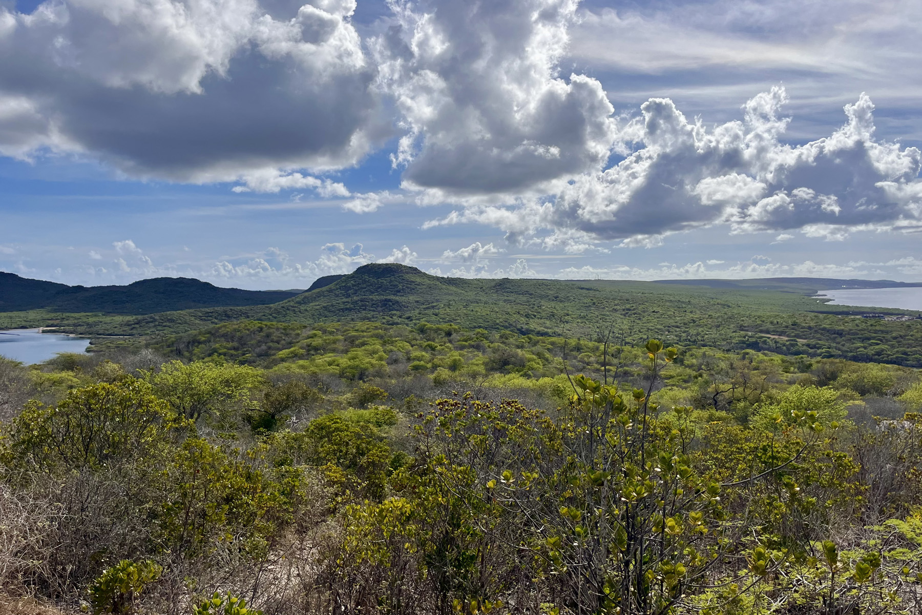 Halverwege de Wasao Trail